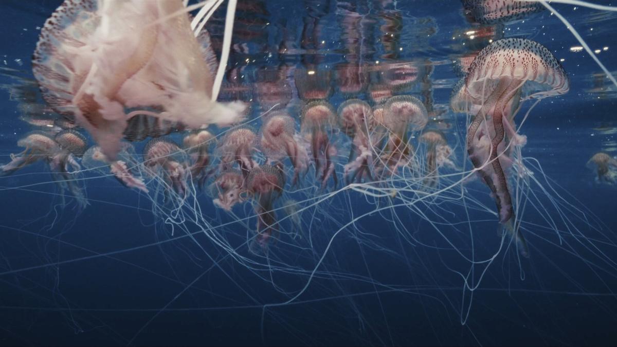 Una escena del documental 'Kantauri'.