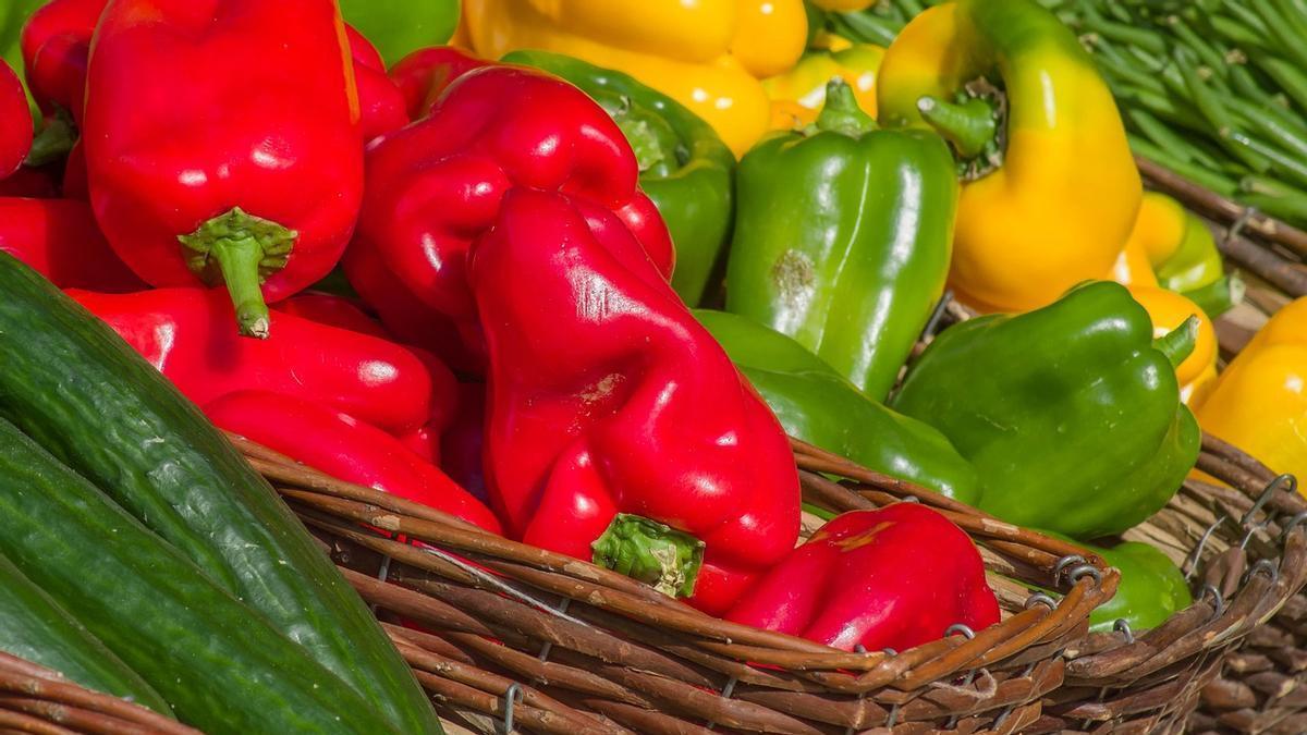 Pimientos rojos, verdes y amarillos