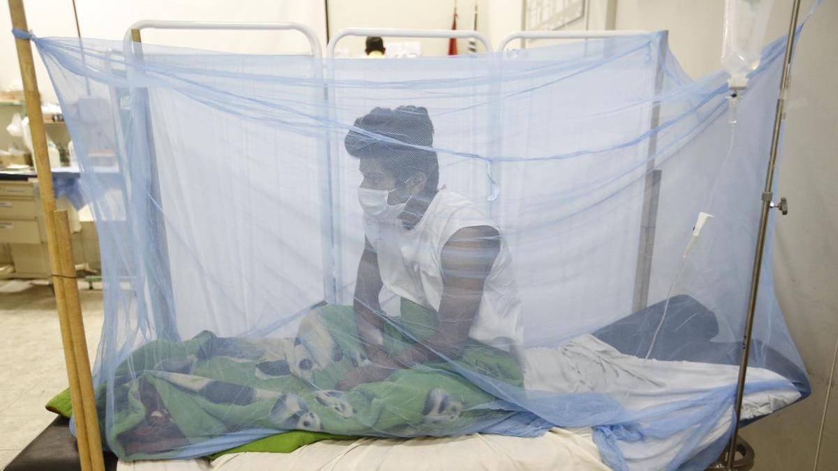 El brote de dengue ha dejado 62 fallecidos en Perú en lo que va de año.