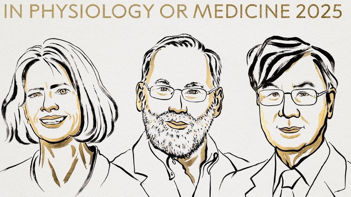 Los científicos premiados este año