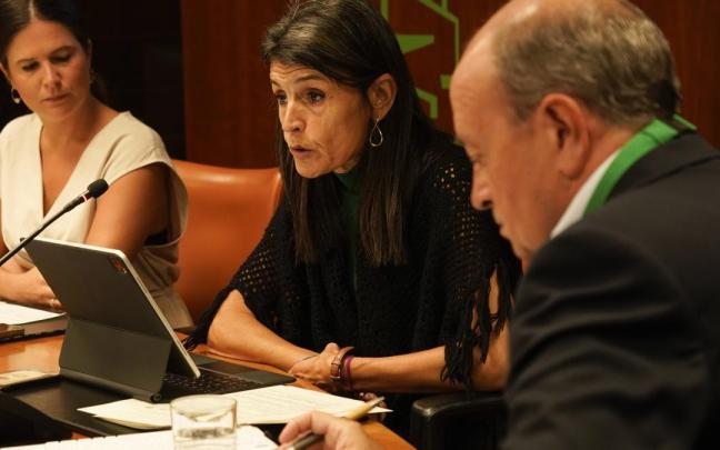 Nerea Melgosa ha presentado este lunes en el Parlamento Vasco el proyecto de Ley Vasca de Cooperación y Solidaridad. Nerea Melgosa ha presentado este lunes en el Parlamento Vasco el proyecto de Ley Vasca de Cooperación y Solidaridad.