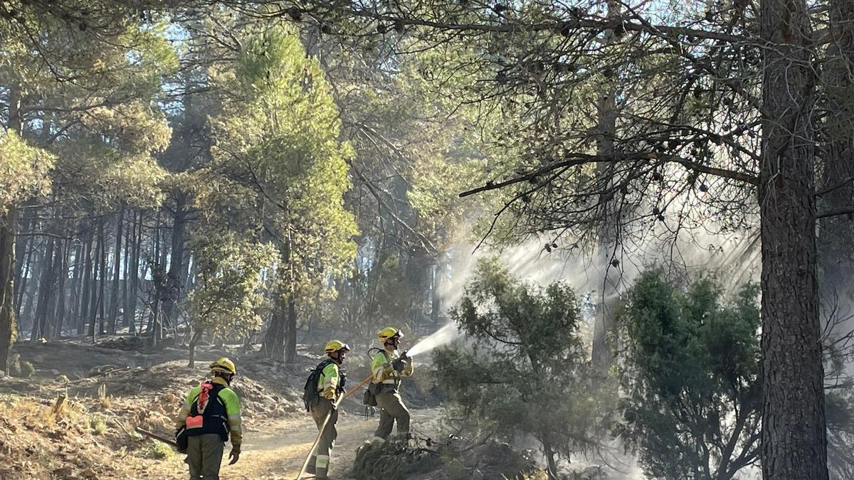 Efectivos de bomberos en el incendio de Villanueva de Viver