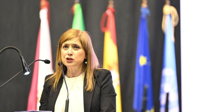 La consejera de Justicia y Derechos Humanos, María Jesús San José. / E.P. La consejera de Justicia y Derechos Humanos, María Jesús San José.