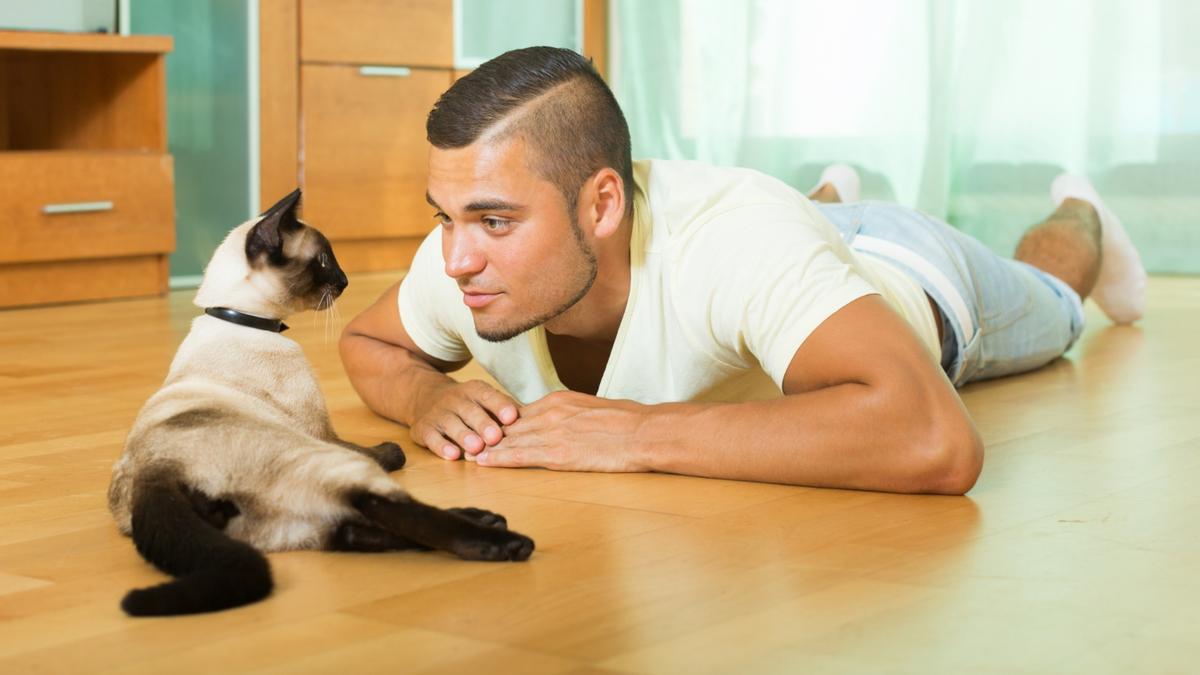 Un joven trata de retener la atención de su gato sin hacer gestos.
