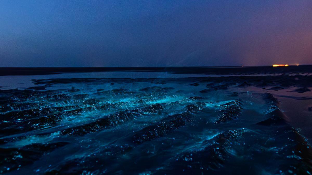 Al romper las olas, algunos microorganismos emiten luz azul.