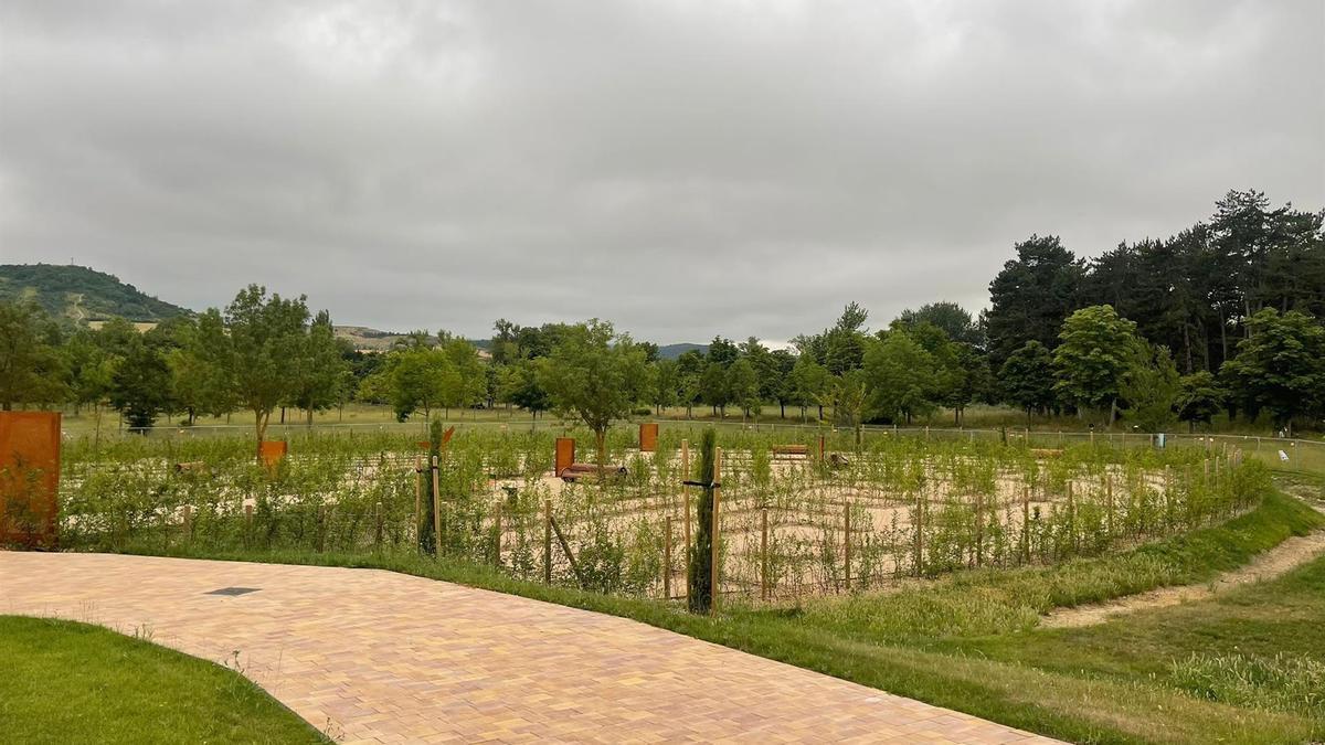 Gasteizko lau gunek emakume erreferenteen izenak izango dituzte.