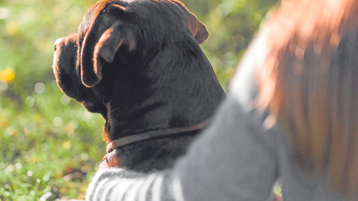 Animalia bat galtzeak ere dolu-prozesu bat eragiten du