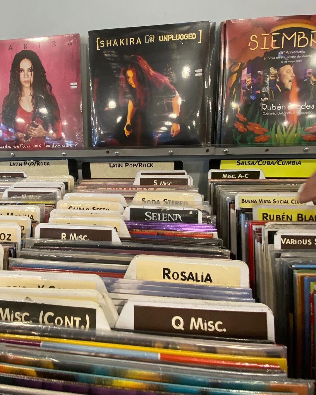 La foto que subió Rosalía.