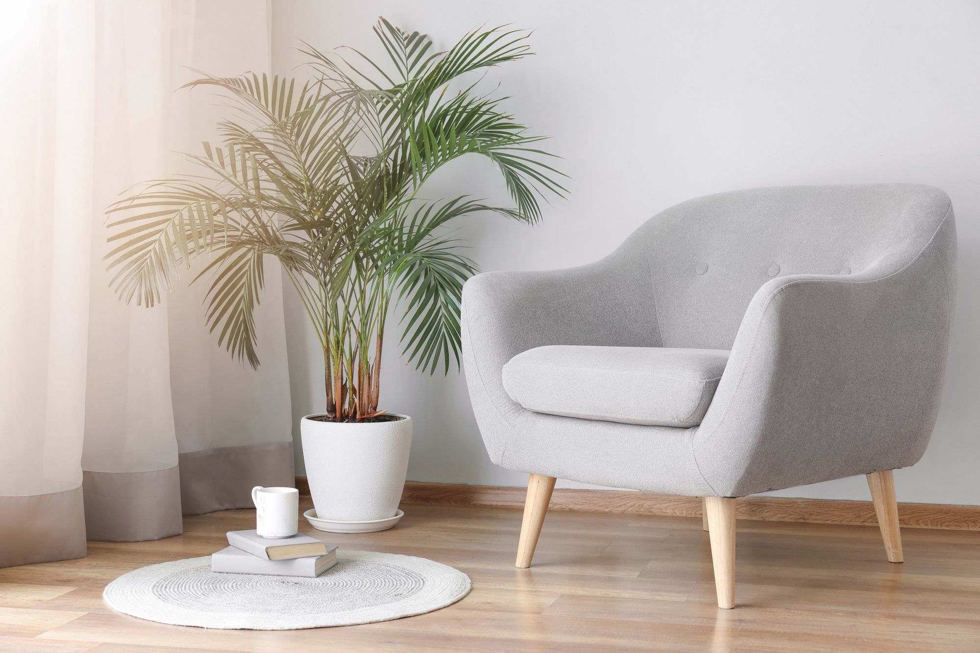 Las butacas también son una buena opción.