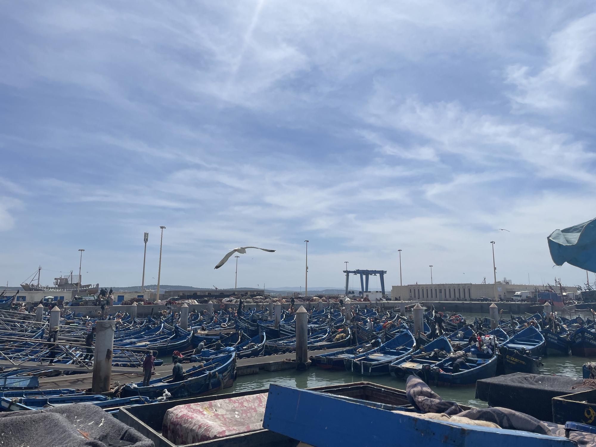 Barcazas azules atracadas en el puerto.