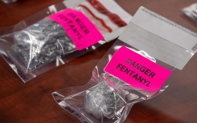 El fentanilo es un opioide analgésico sintético similar a la morfina pero de 50 a 100 veces más potente. El fentanilo es un opioide analgésico sintético similar a la morfina pero de 50 a 100 veces más potente.