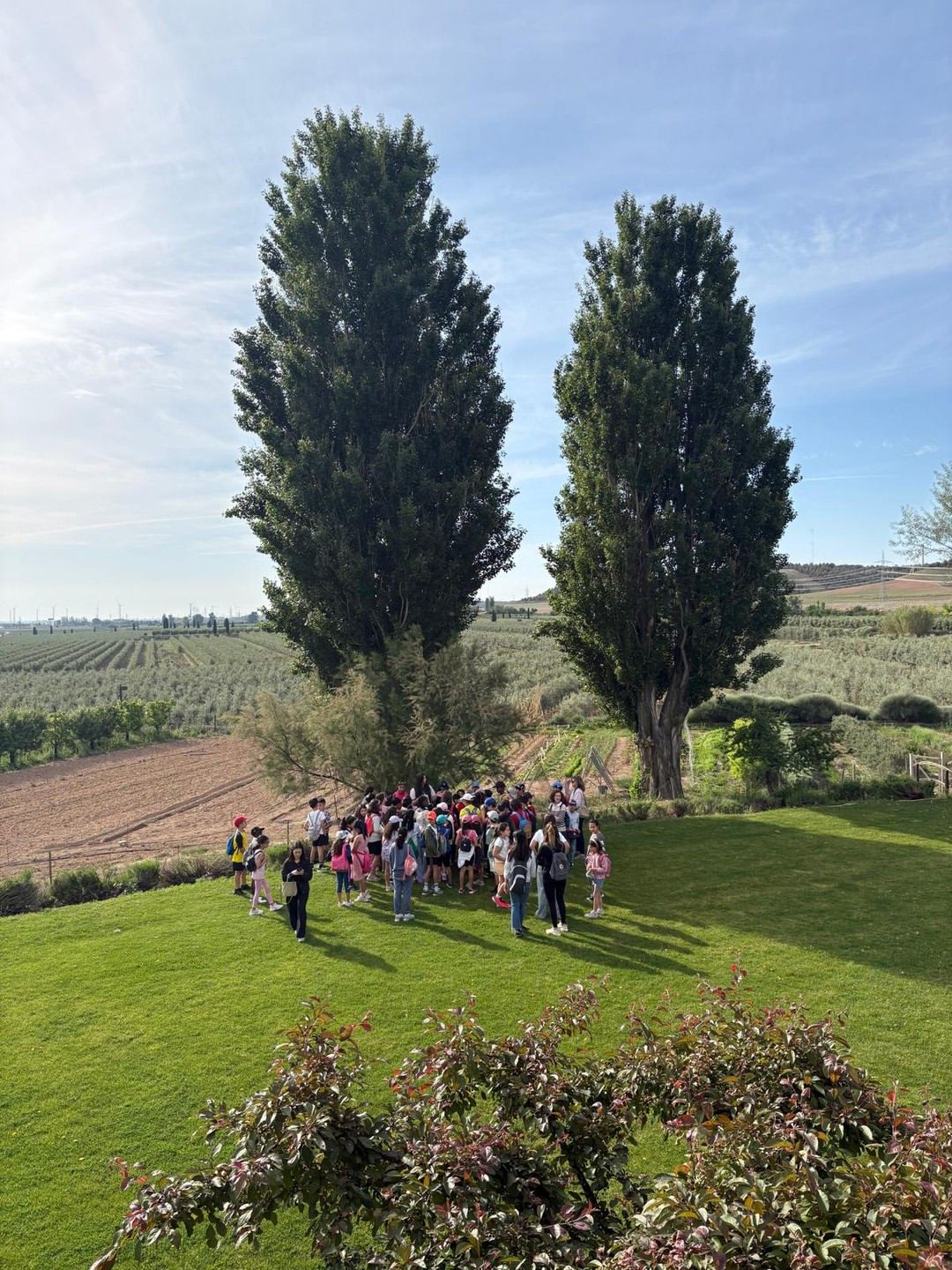 Sus actividades ofrecen desde un tranquilo picnic hasta catas y rutas guiadas.