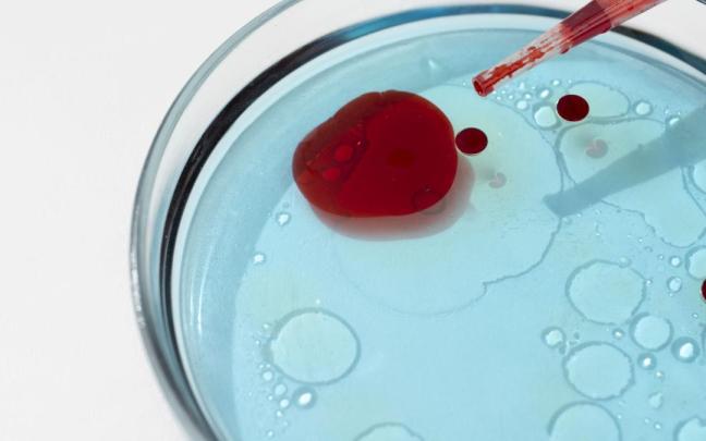 El cansancio, la palidez o la dificultad para concentrarse son algunos de los síntomas habituales.