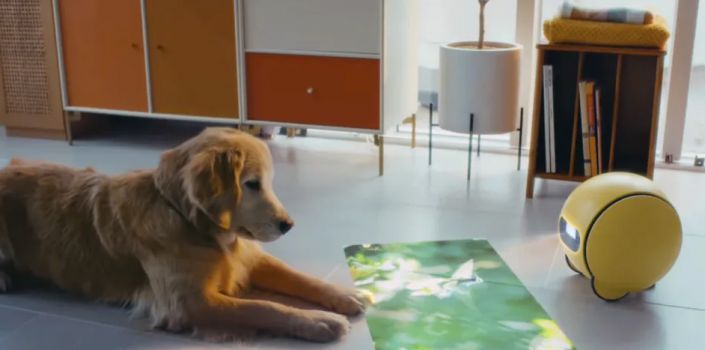 Un perro mira con atención a Ballie.