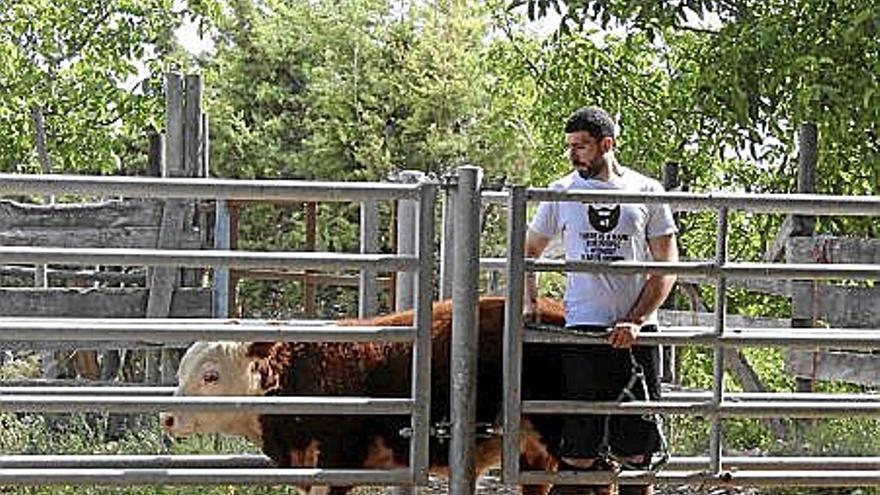 Carlos Jordán bendice a su ternero.