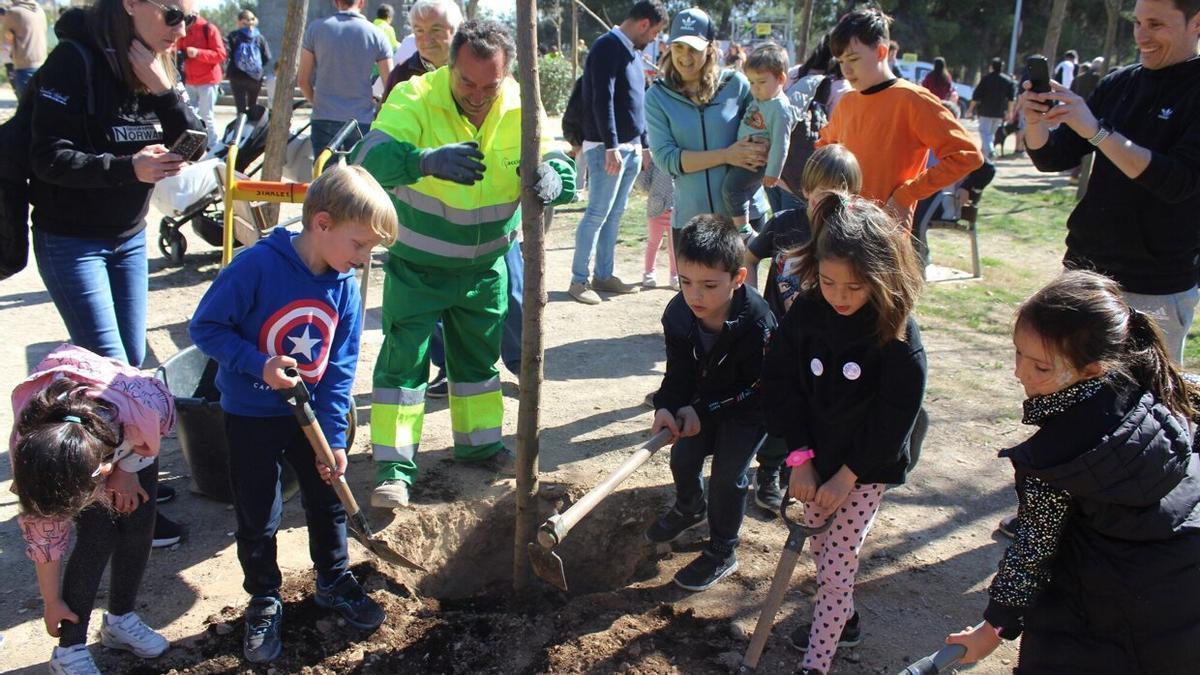 Varios niños y niñas plantando arboles en zona del Corazón de María