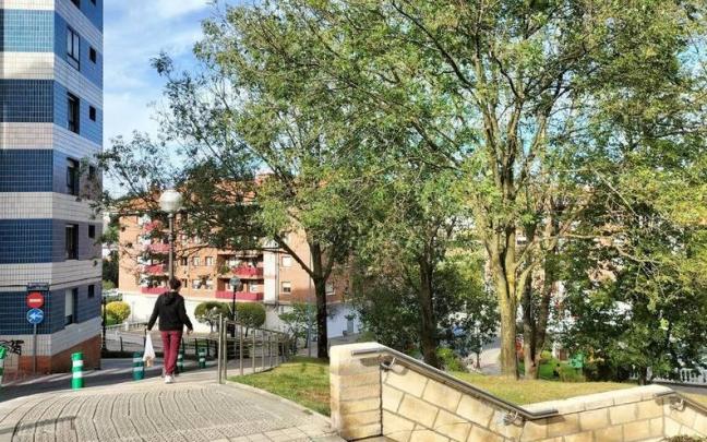 El asfaltado del pavimento de las calles va a ser una de las actuaciones a ejecutar pr&oacute;ximamente.
