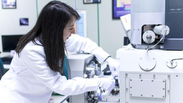Una trabajadora que cursó estudios de Formación profesional desarrolla su labor.