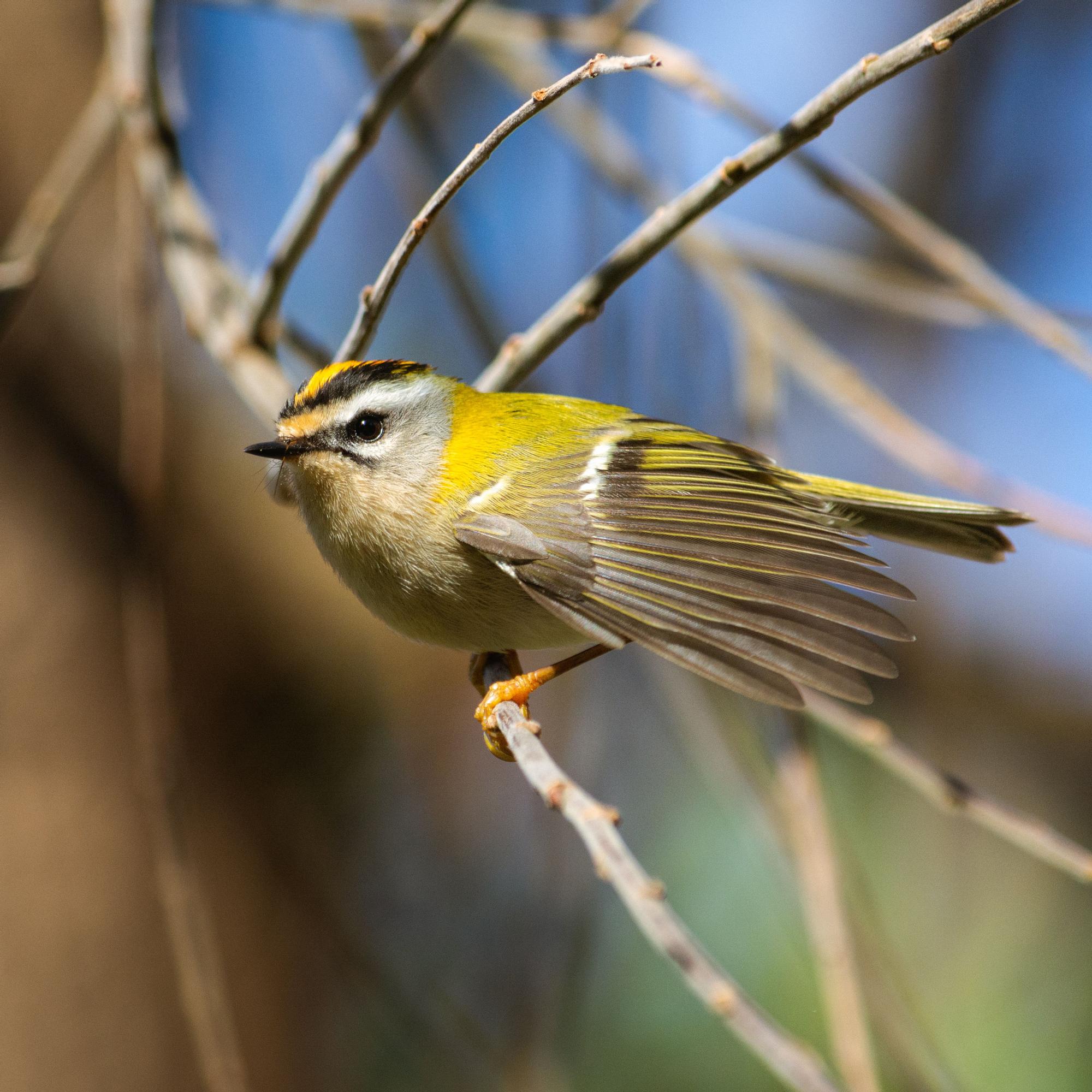 “Considero que la fotografía es también una forma de denuncia y de difusión de injusticias”, reivindica Mikel Usillos Puertas.