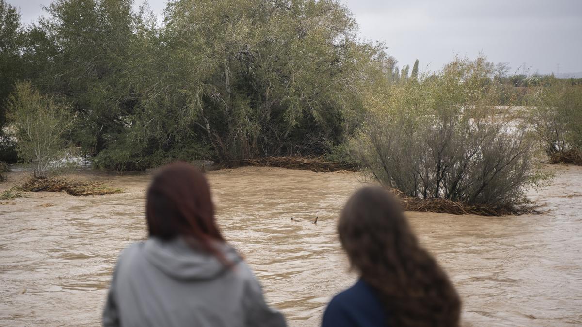 Imagen del río Magro entre Catadau, Llombai y Alfarp en la dana.