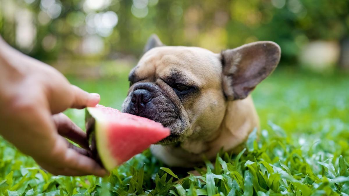 La sandía es una fruta muy refrescante pero de la que no hay que abusary es importante eliminar todas las pepitas.