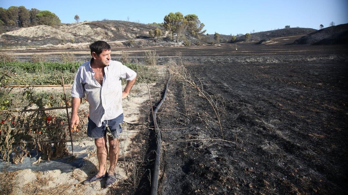 Zonas calcinadas por el incendio de Artajona y Mendigorria: Rubén Zuñigas observa cómo llegó el incendio hasta el límite de su huerta
