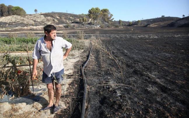 Zonas calcinadas por el incendio de Artajona y Mendigorria: Rubén Zuñigas observa cómo llegó el incendio hasta el límite de su huerta