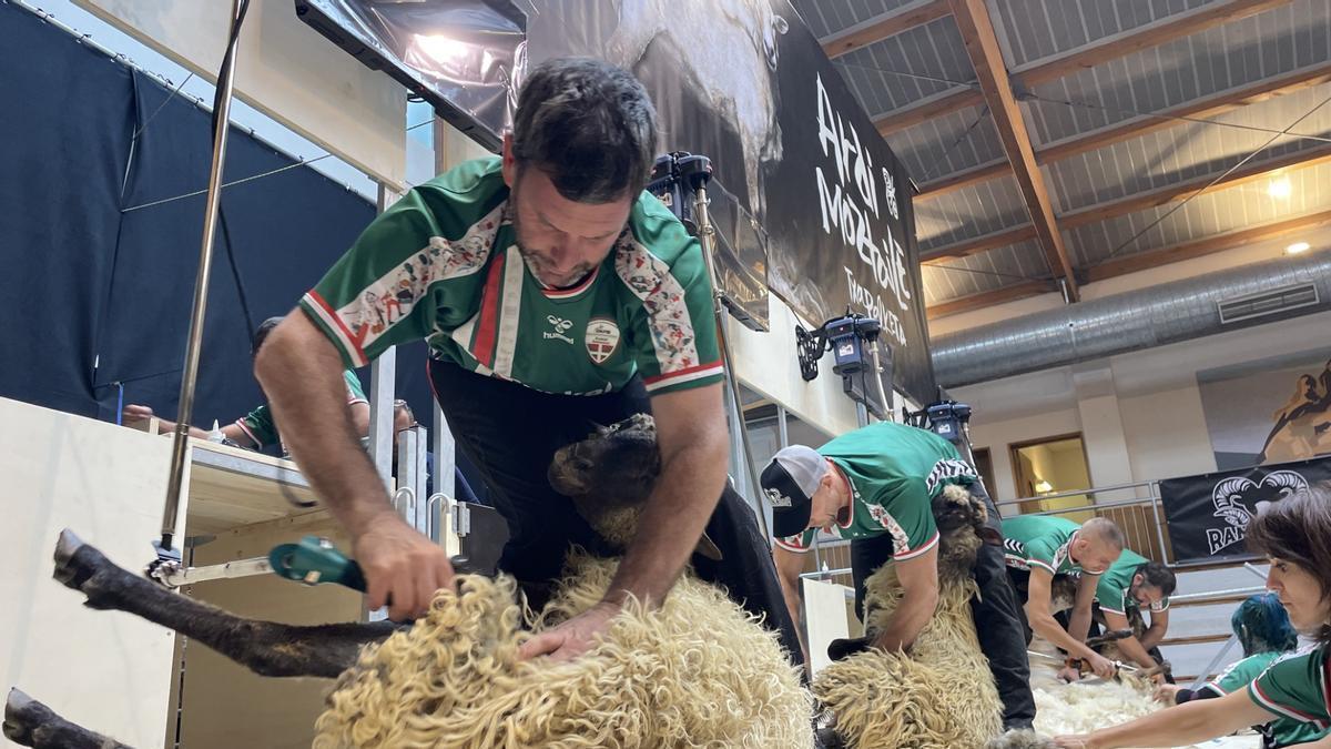 El campeonato se disputa este sábado