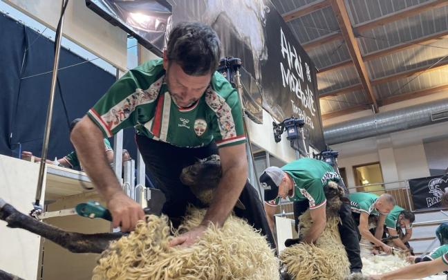 El campeonato se disputa este sábado