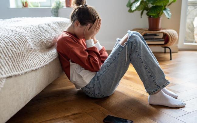 Los cuerpos policiales animan a denunciar cualquier forma de acoso digital