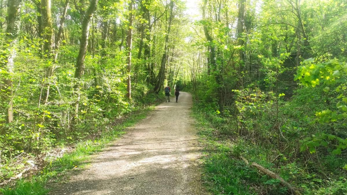 La via verde del Vasco Navarro