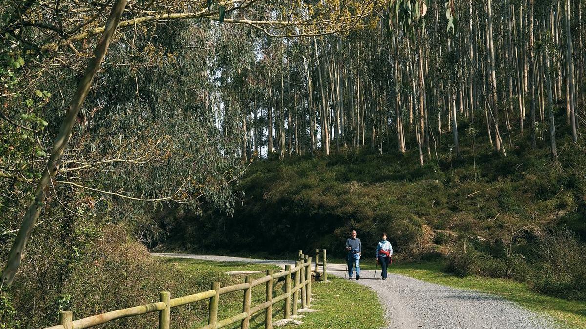 VIA VERDE GALDAMES. Bizkaia