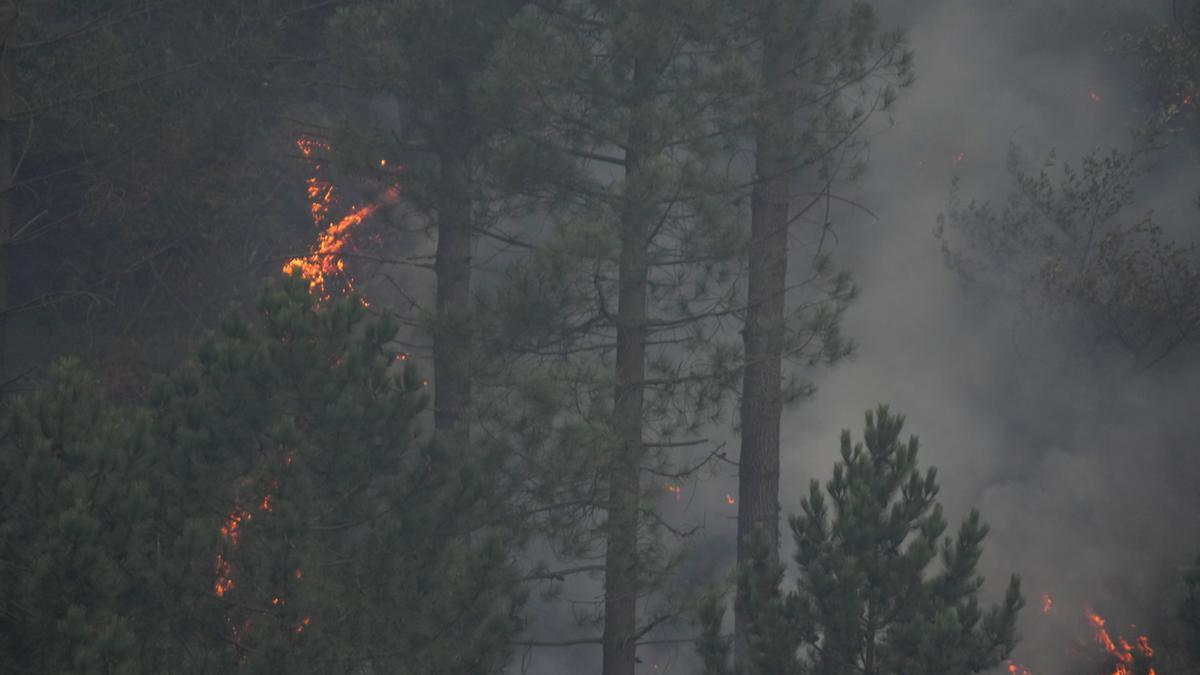 Árboles ardiendo y humo en un incendio forestal en Ortuella.