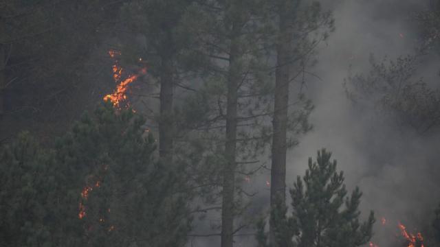 Árboles ardiendo y humo en un incendio forestal en Ortuella.