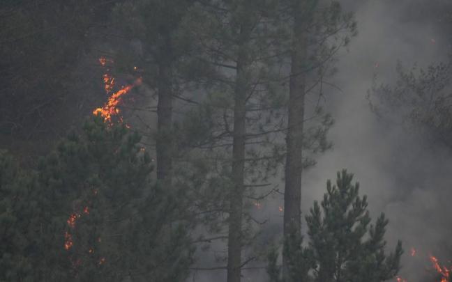 Árboles ardiendo y humo en un incendio forestal en Ortuella.
