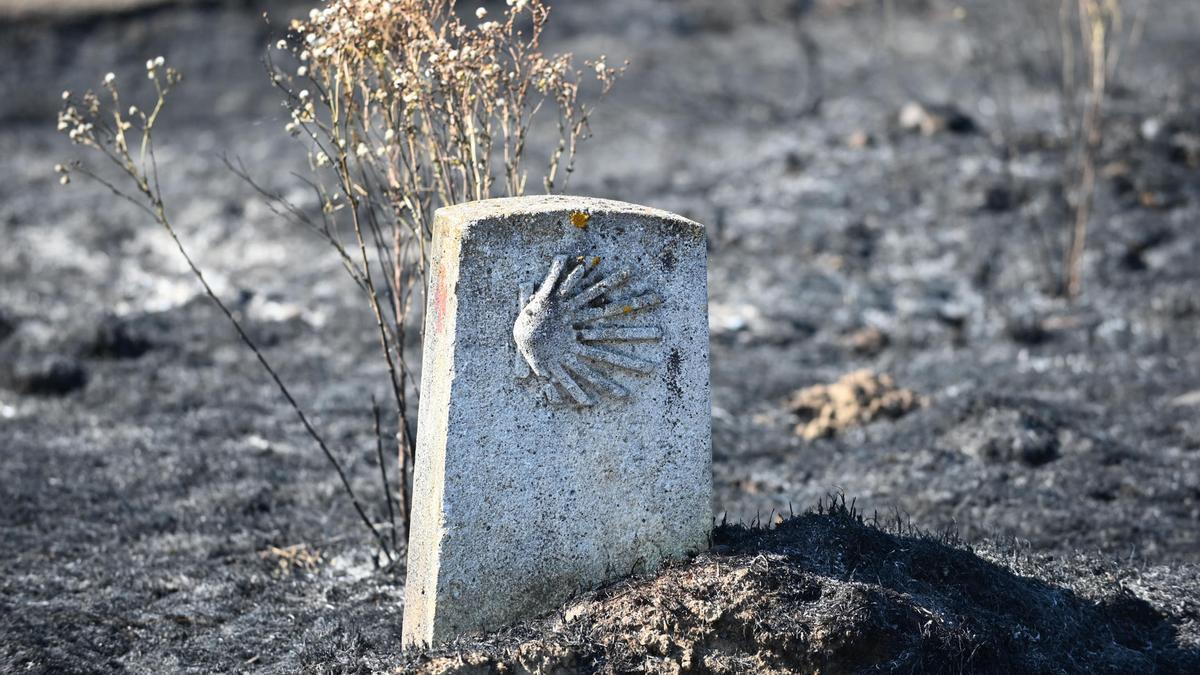 Medios de extinción evitan que el incendio de Astorga (León) amenace núcleos de población