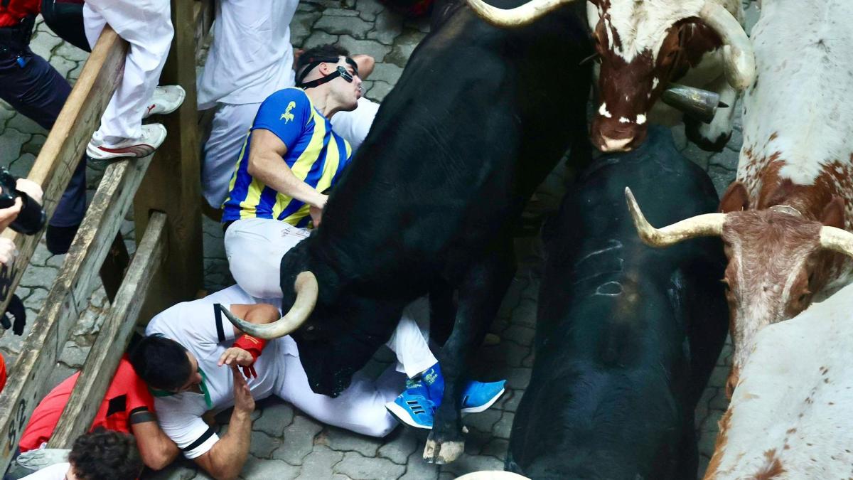 Momento de la bajada al callejón en el que un toro a punto está de empitonar un corredor. Foto: Oskar Montero