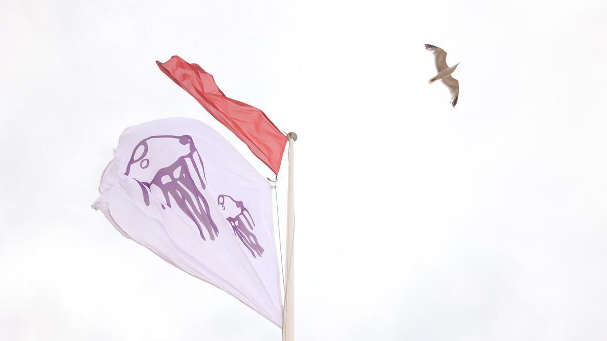 Bandera que alerta de la presencia de medusas
