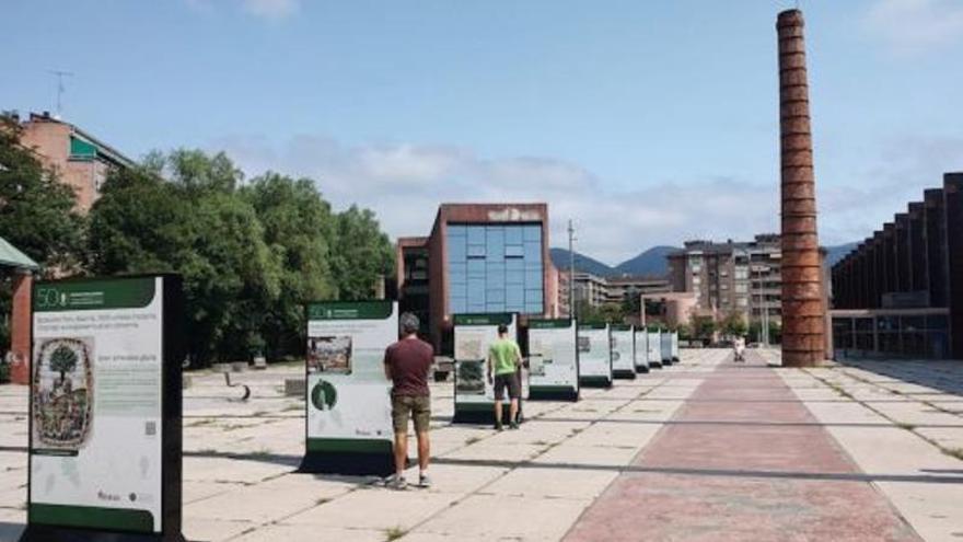 La exposición estará disponible hasta el día 19