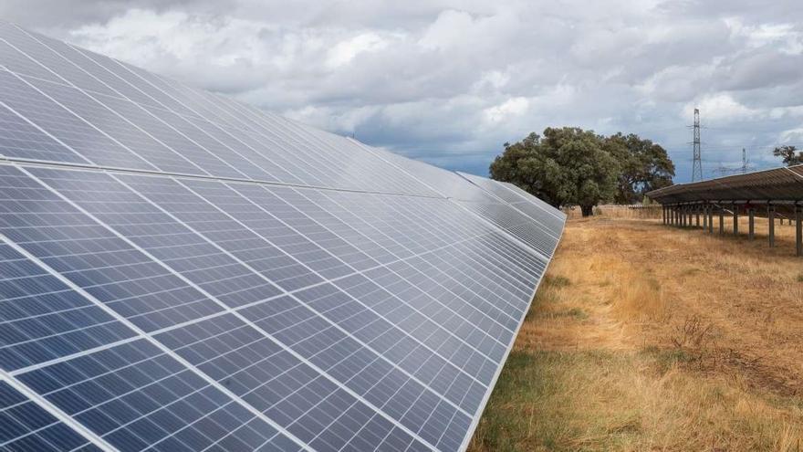 Paneles de una planta fotovoltaica en Extremadura.