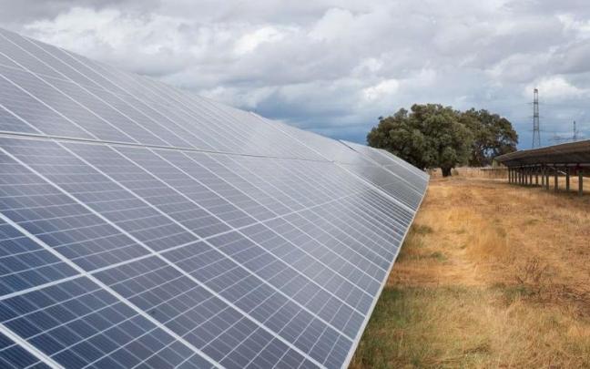Paneles de una planta fotovoltaica en Extremadura.