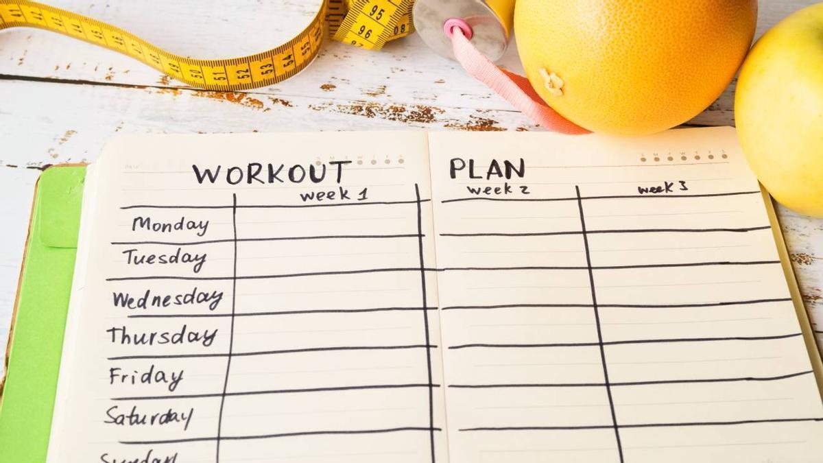 plan de entrenamiento