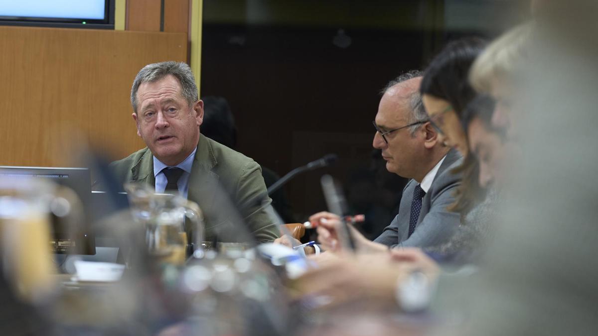 El consejero de Seguridad, Bingen Zupiria, durante su comparecencia.