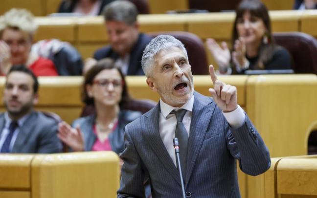 El ministro del Interior, Fernando Grande Marlaska en la sesión de control en el pleno del Senado. El ministro del Interior, Fernando Grande Marlaska en la sesión de control en el pleno del Senado.