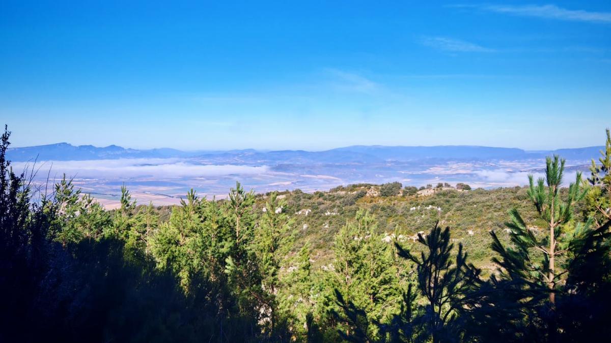 Vistas en la subida al Txulato
