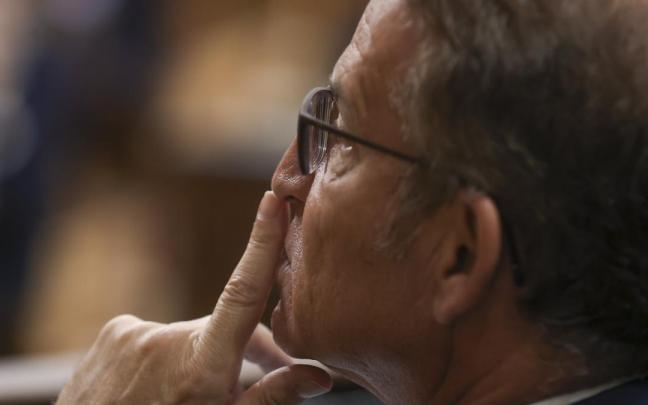 El presidente del Partido Popular, Alberto Núñez Feijóo / Efe El presidente del Partido Popular, Alberto Núñez Feijóo