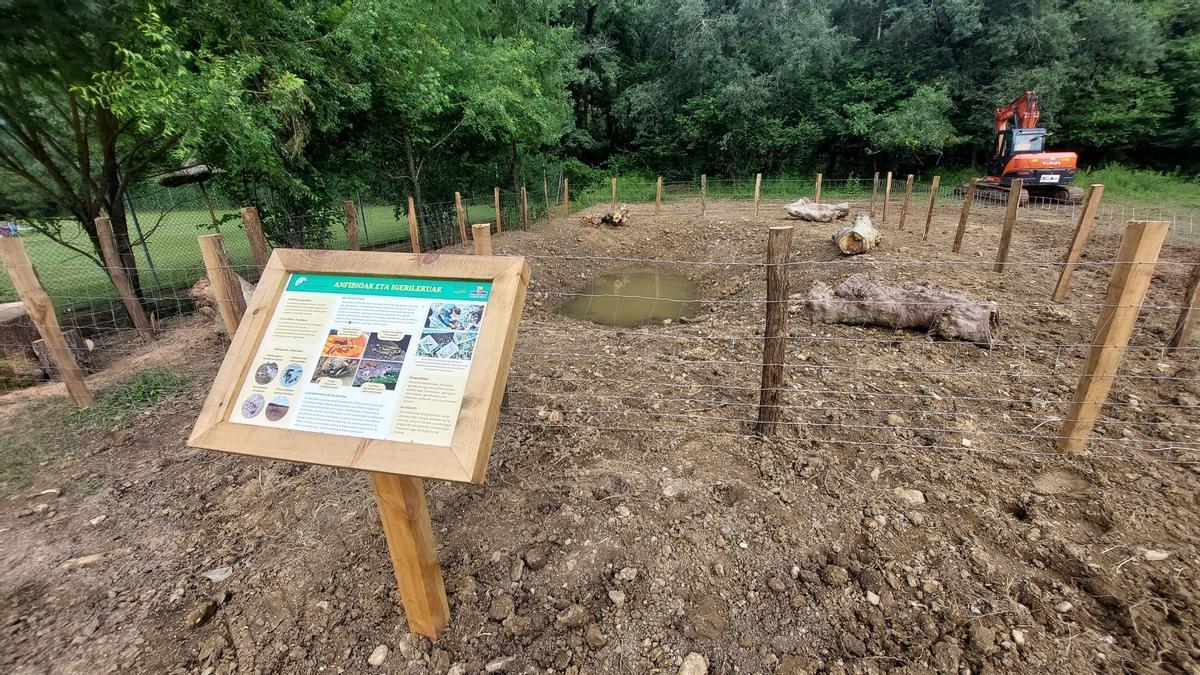 La nueva charca para anfibios creada en Artziniega