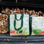 Maletero de la persona denunciada por carecer de autorización y con una cantidad de setas por encima del límite permitido. Foto: Policía Foral