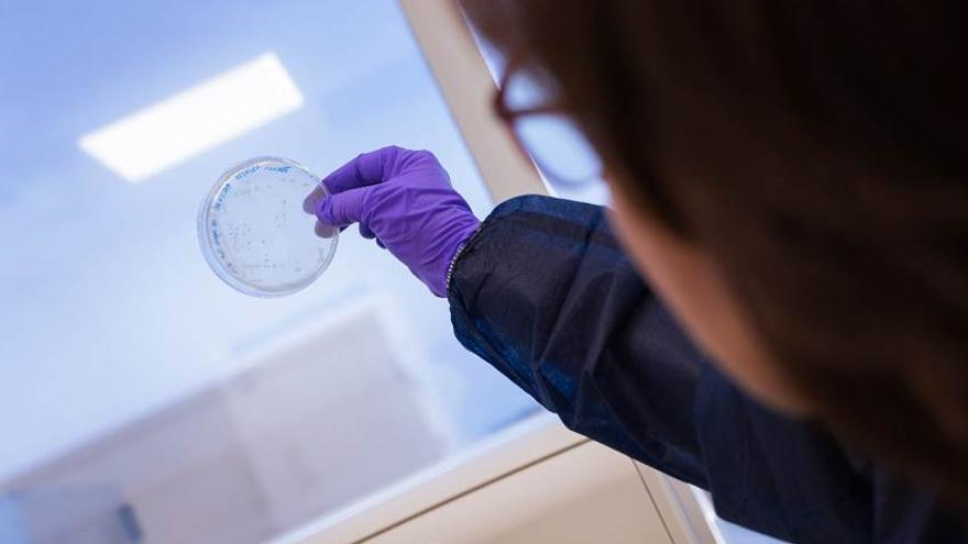 Esta forma de intervención busca "desarmar" a la bacteria en lugar de matarla.