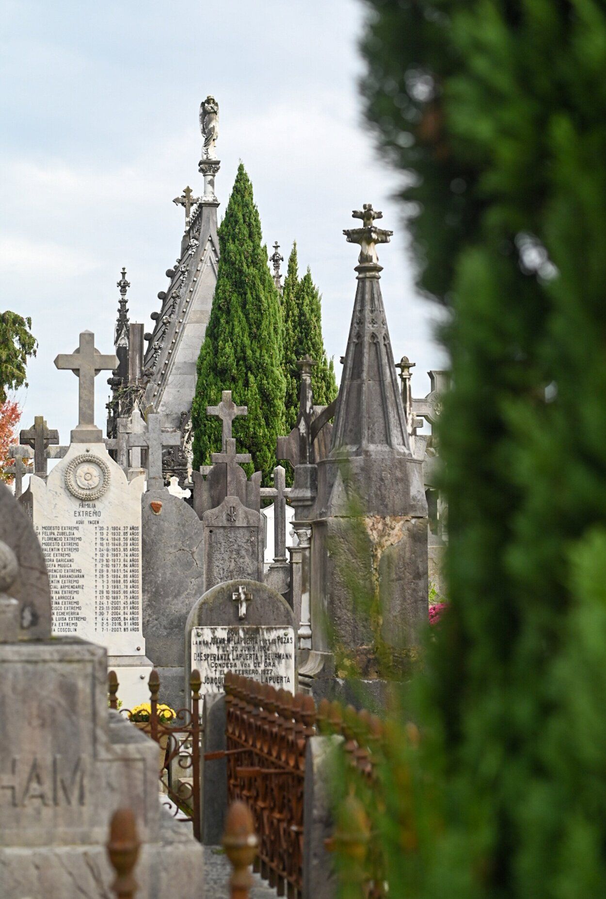 Vistas del cementerio de Polloe.